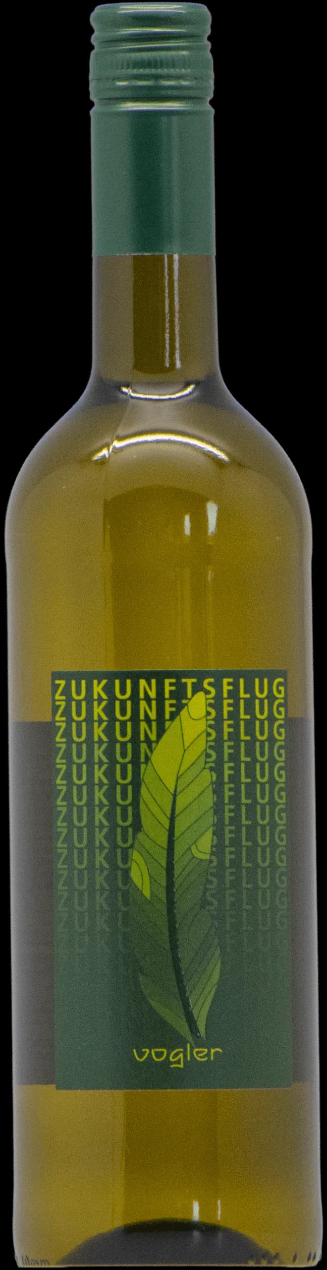 Zukunftsflug