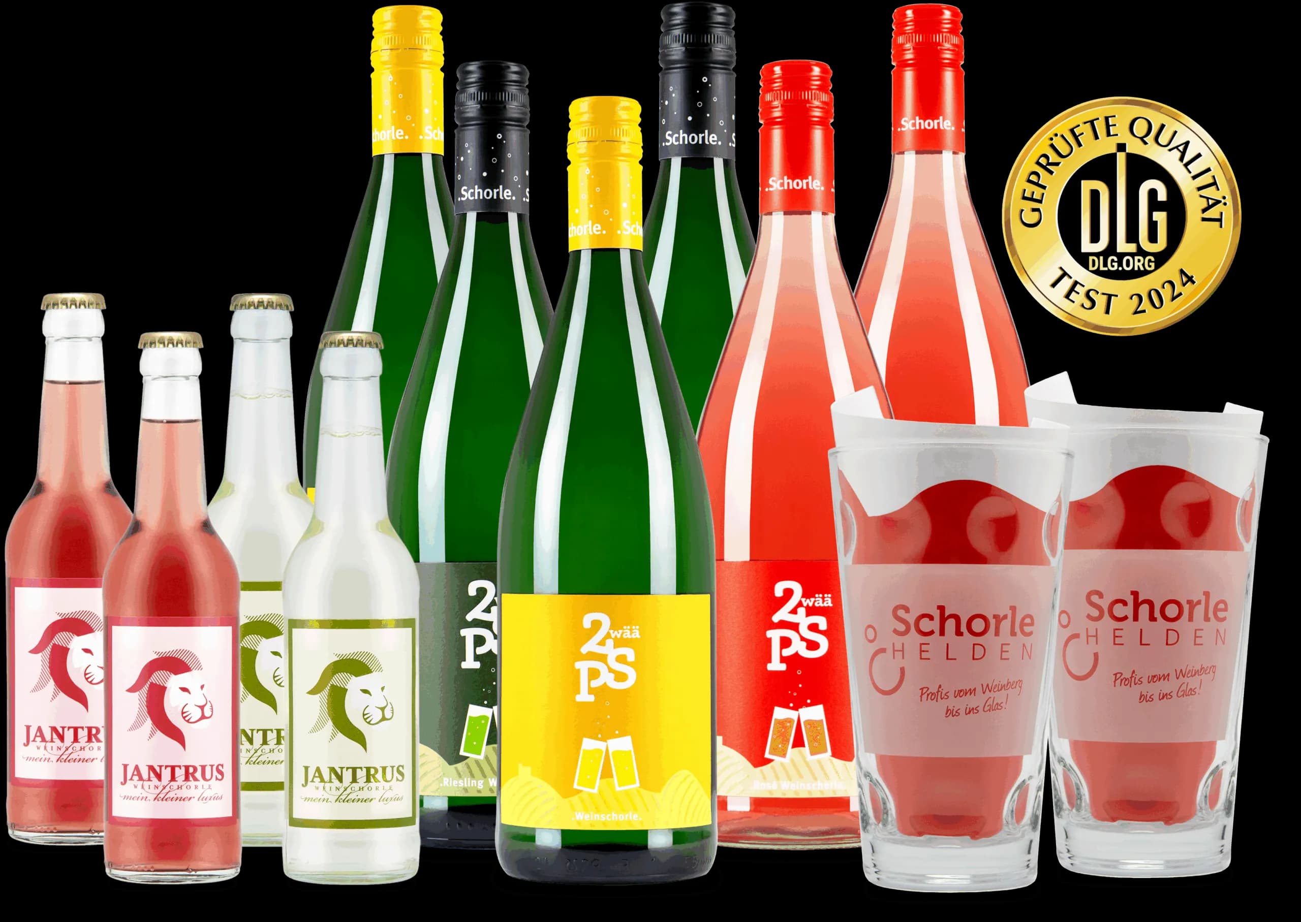 12er Schorle Erlebnispaket - Frei wählbar!