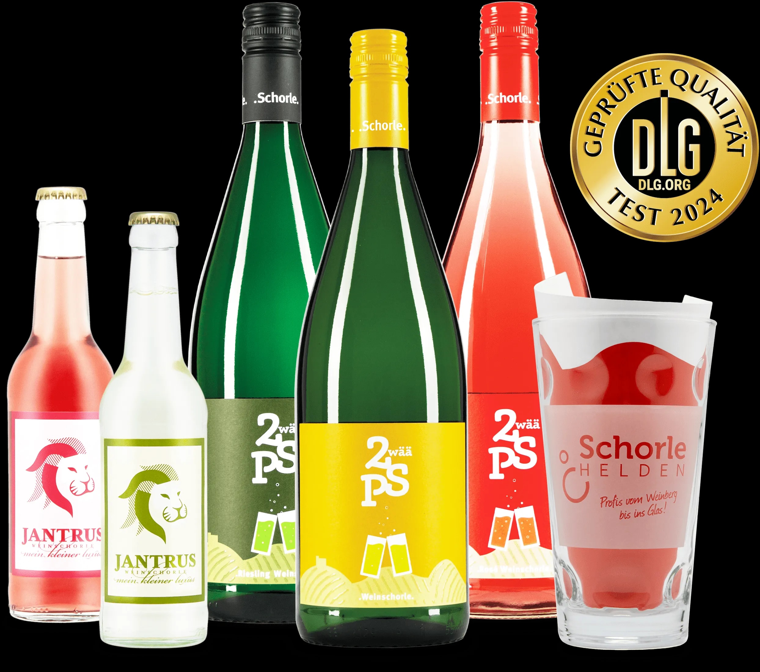 6er Schorle-Probepaket